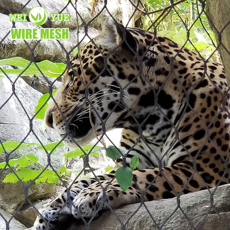 304 316 Edelstahl-Seilmaschennetz f&uuml;r Zoo-Maschenvogelk&auml;fig-Vogelhausnetz