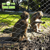 304 316 Edelstahl-Seilmaschennetz f&uuml;r Zoo-Maschenvogelk&auml;fig-Vogelhausnetz