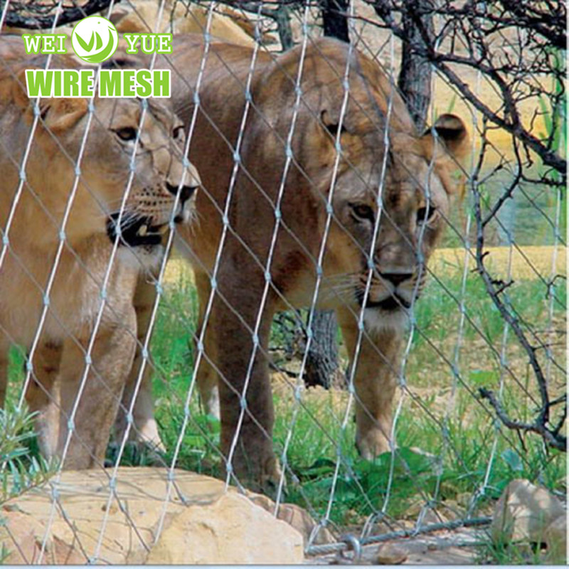 Rete in corda di acciaio inossidabile per parco divertimenti/rete protettiva per circo di animali